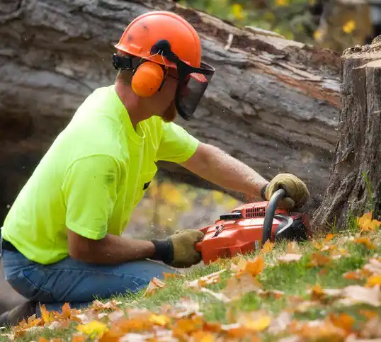 tree services Kernersville